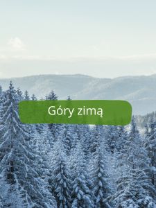 5 najczęstszych pytań o zimowy wynajem domków – rozwiewamy wątpliwości